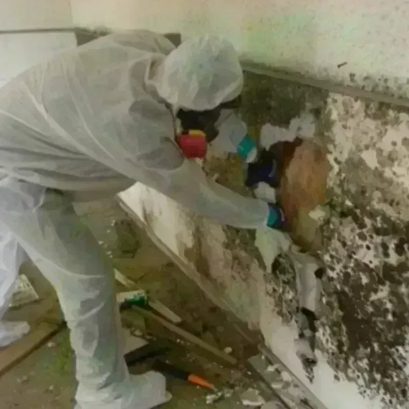 Mold Remediation and Removal in Lake Andes, SD