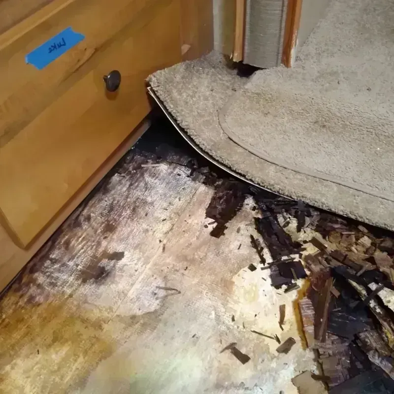 Wood Floor Water Damage in Lake Andes, SD